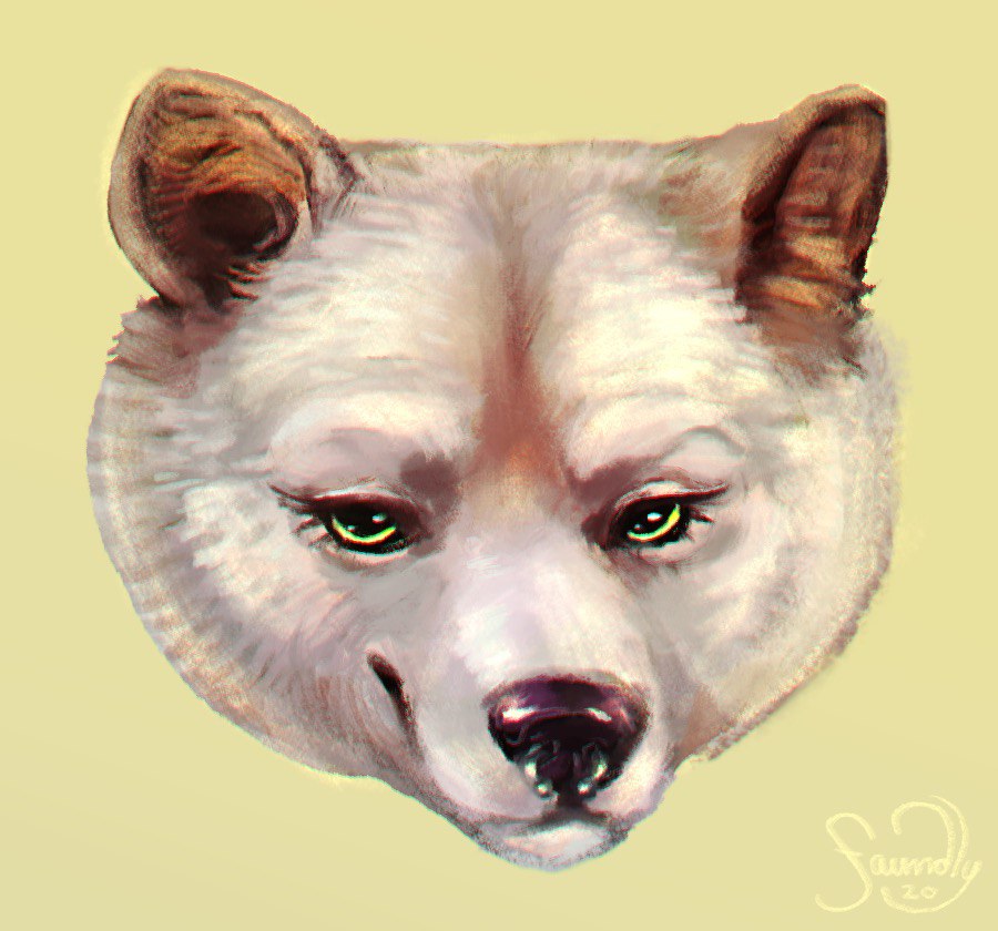 EarlGrey_Cream's tweet photo. If you're looking to commission someone, look no further than @DruidDraws!!! They do fucking amazing work. Just look at the detail in these. And they're some of her more simple &amp; quick pieces!! Y'all really be getting a wonderful person to work with and great art!! https://t.co/PK7oj0gDNa