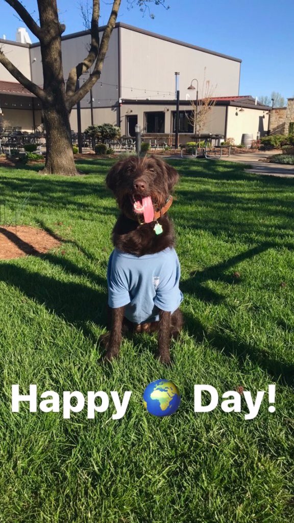 PublicHouseBeer's tweet photo. Sustainability matters. Read about our efforts: bit.lyPHSustain 
#EarthDay2020 #stlbeer #dog https://t.co/XcgzuoZqsT