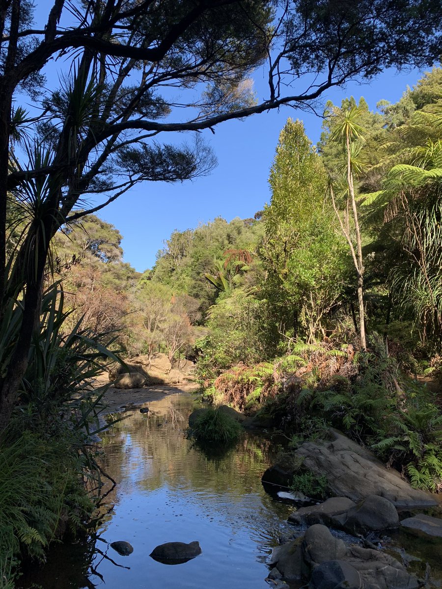 Mokoroa Falls - really lovely walk but to get to the actual falls you gotta be careful, it’s slippery af