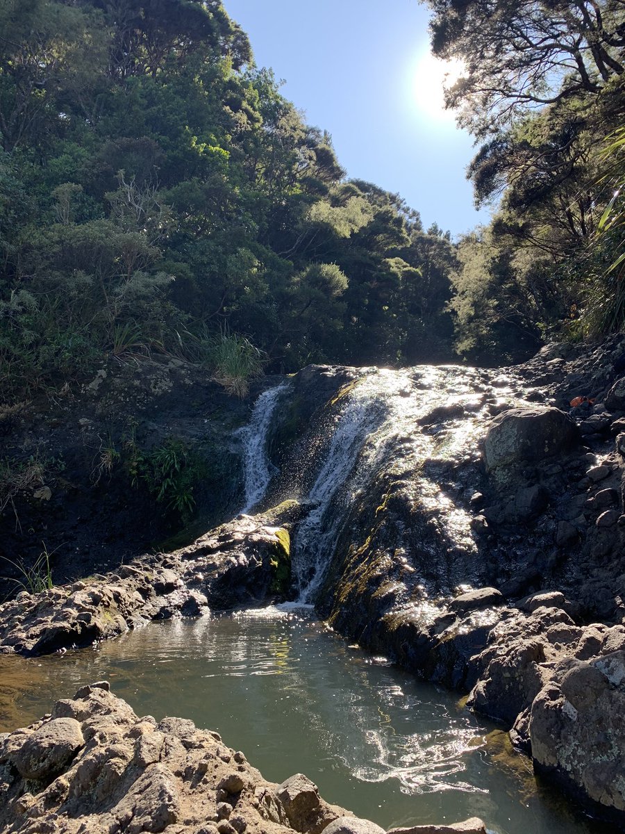 Kitekite falls - you can go to either the base or top of the falls (people swim in summer at the top) also there’s lots of stairs  by far my fave inland walk!! 