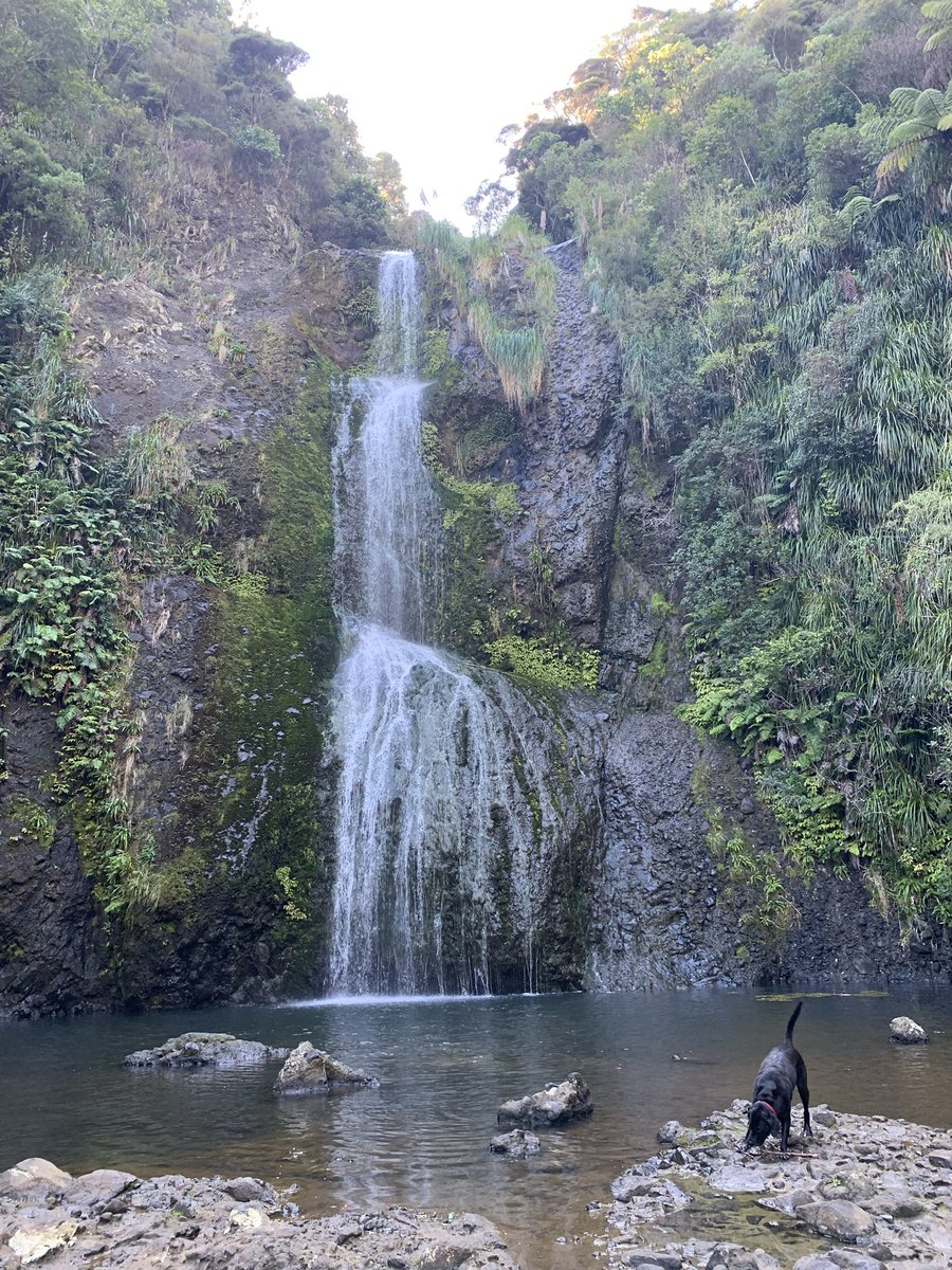 Kitekite falls - you can go to either the base or top of the falls (people swim in summer at the top) also there’s lots of stairs  by far my fave inland walk!! 