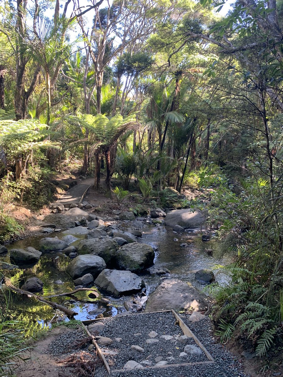 Kitekite falls - you can go to either the base or top of the falls (people swim in summer at the top) also there’s lots of stairs  by far my fave inland walk!! 