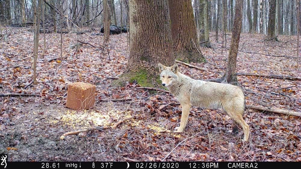 Trailcampro tweet media