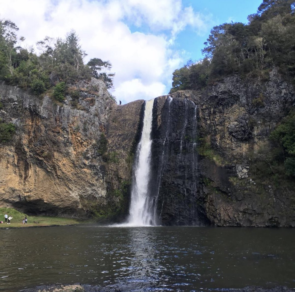 hunua falls! it was my entry into exploring everything the southside had to offer! (going under the waterfall is wild and so much fun!) 
