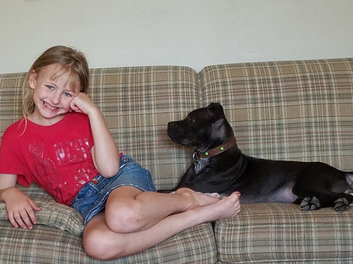 Stephan67624705's tweet photo. BES Spirit Week: College Day and Pet day together.  Meredith and her puppy are study buddies.  Looks like its time to take a break. 
Go wolfpack! https://t.co/0JzUlrh5Tu