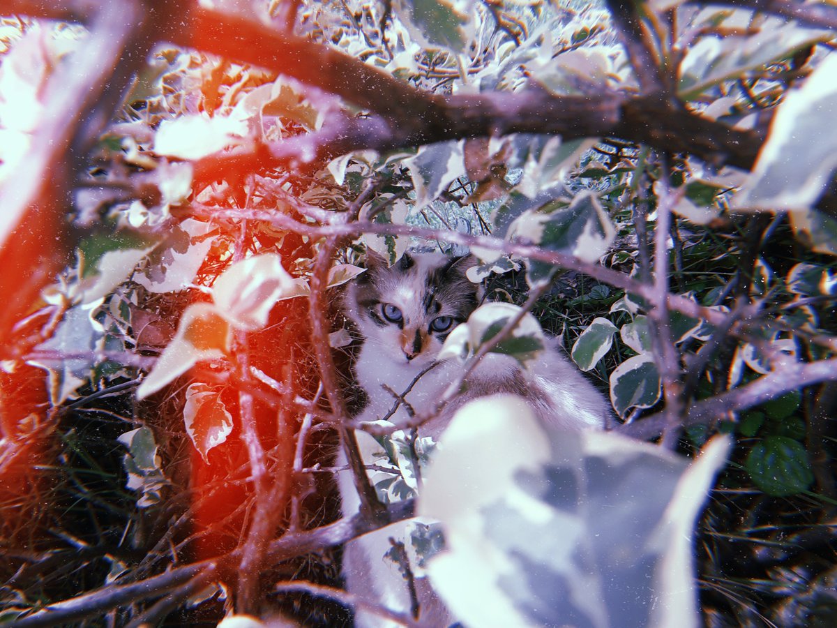 andreabv7's tweet photo. random huji pics without context que me hacen feliz pq si https://t.co/tgN31GDhjU