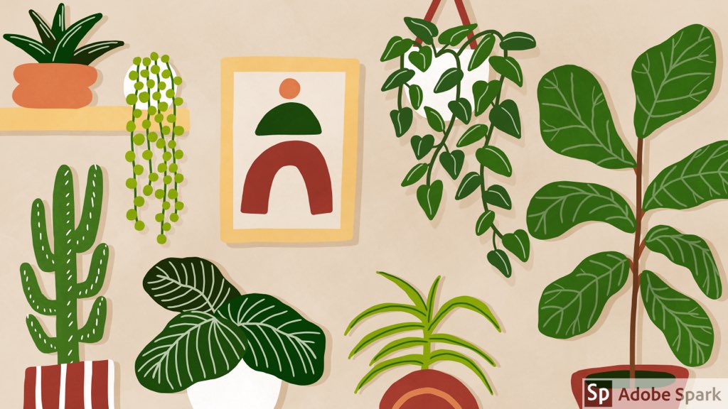 HomeScienceBlog's tweet image. Enjoy Earth Day even during your home stay. #houseplants #buildbeauty #biophilicdesign #indoor  #resiliance