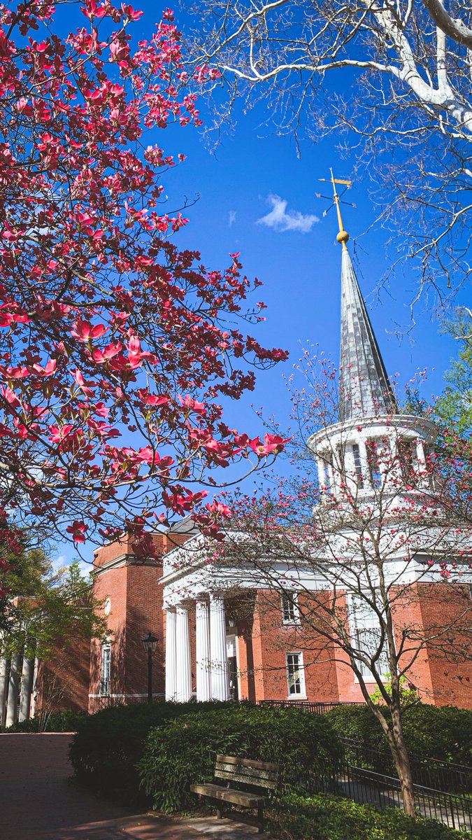 Happiness is College Green on a sunny, spring day 🥰

#WallpaperWednesday