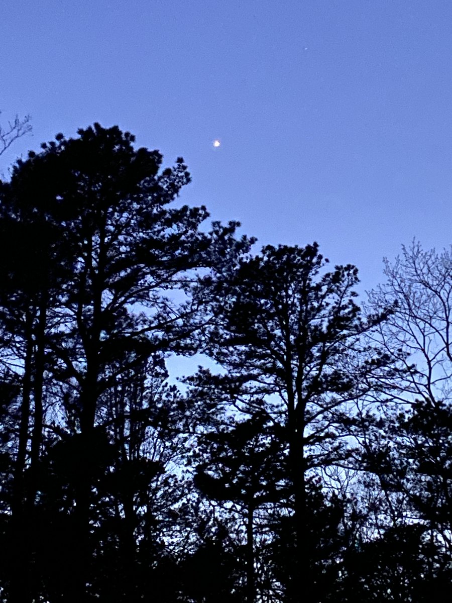 While appreciating Earth, pause to notice Venus, sitting bright in twilight skies after sunset. Our nearest neighbor and near-twin to Earth in size &amp; gravity, Venus labors under a runaway CO2 greenhouse effect, where temperatures are hot enough to liquefy lead.  I’m just sayin'.