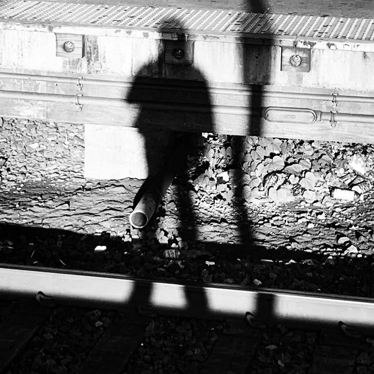 Our New Album Silent City is officially a week and a day old. We are so thankful for all of the streams and downloads Thank you to the greatest fans in music!!! #newmusic #Thankyou #silentcity #countrysong #countrymusic #countryartist #grandoleopry #thelosttrailers