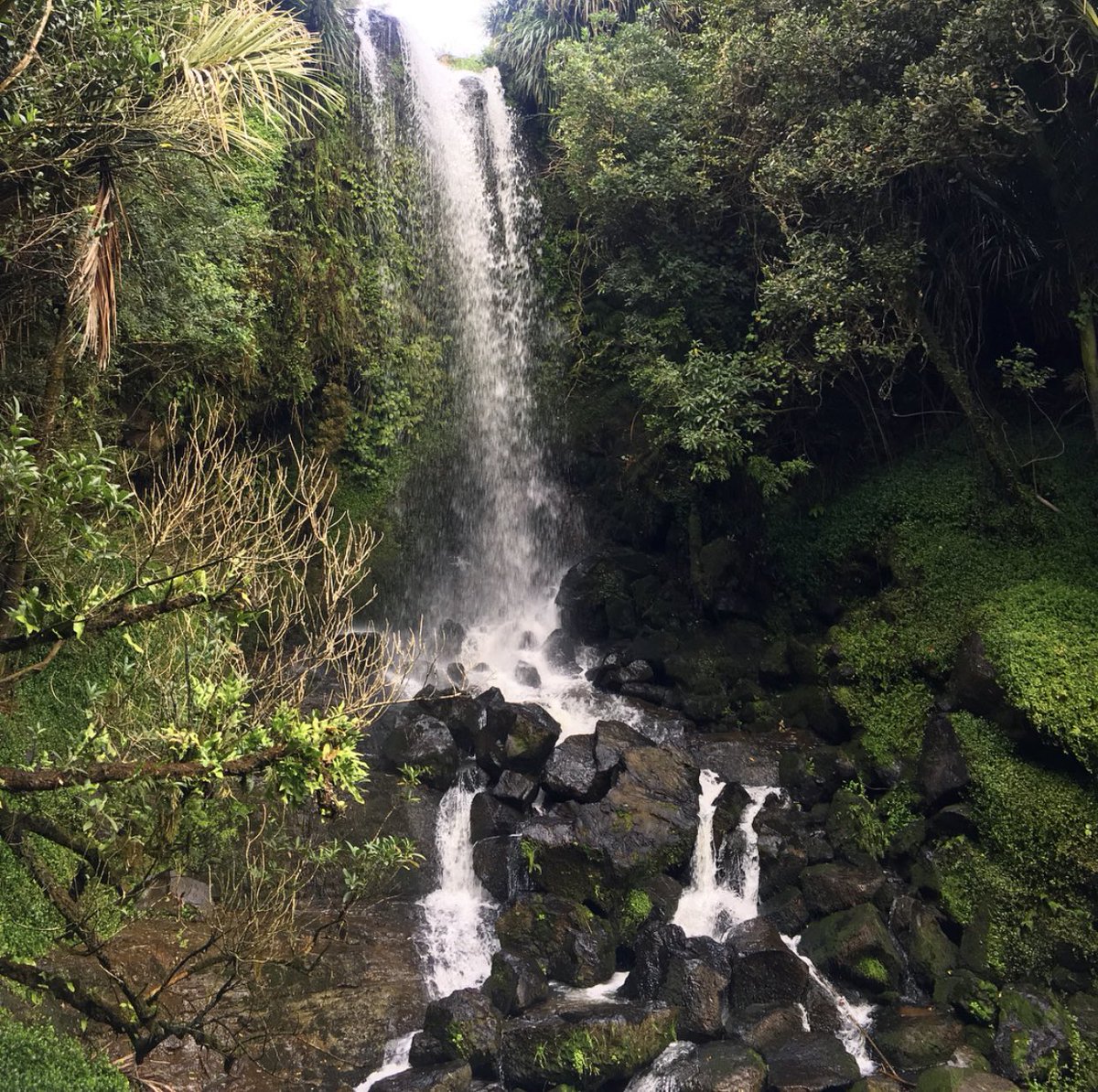 just the tiniest bit outside of the auckland region BUT this sweet spot is Vivian falls! last time i was there i could’ve easily died climbing the rocks lol