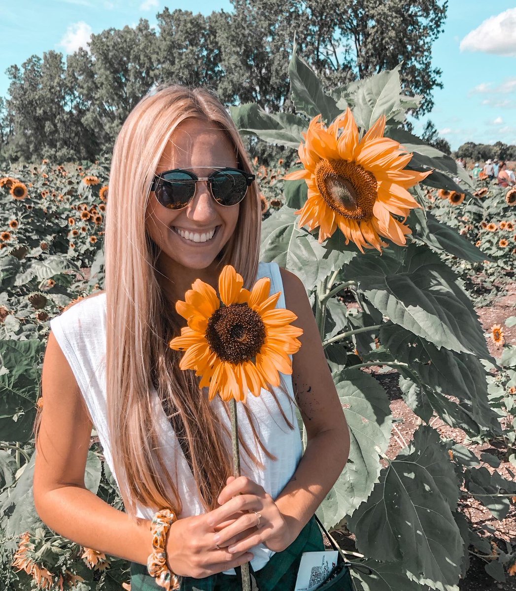 Tri Sigma ✩ Omicron tweet media