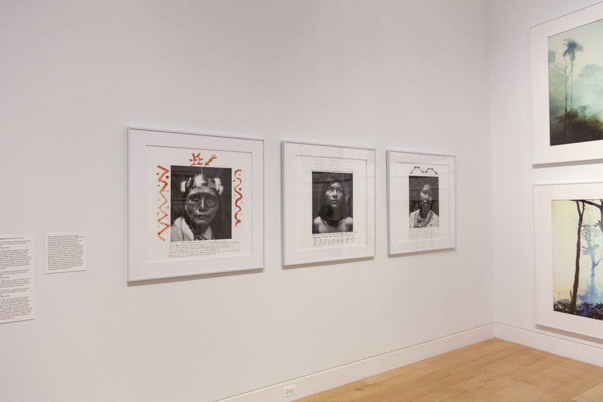 DePaulArtMuseum's tweet photo. #FelipeJácome's work in #TheWorldToCome depicts Indigenous women fighting against oil exploitation in the Ecuadorian Amazon. He considers them not only photographs, but testimonies. Watch this short film with the artist to learn more: https://t.co/d2kJHZeiil #DigitalDPAM https://t.co/vOSbFKa9Le
