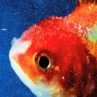 Big Fish Theory by vince staples- Yeah Right- 745- BagBaki think SOPHIE is the only producer with rights ever