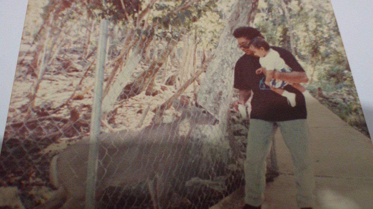 <a href="/VivoEnPtMorelos/">Vivo en Puerto Morelos</a> <a href="/CrocoCunZoo/">Croco Cun Zoo</a> <a href="/VivoEnPlayaDC/">Vivo en Playa del Carmen</a> <a href="/VivoEnCancun/">Vivo en Cancún 🏖️</a> <a href="/sqcsradioytv/">SQCS Radio y Televisión</a> @RFQR <a href="/MarcrixNoticias/">Marcrix Noticias</a> <a href="/VisitandoCancun/">#VisitandoCancun</a> @Ruta_Cenotes #Crococun #PuertoMorelos #México ...La foto hace 30 años...¿Por qué ahora no regresarle algo de lo mucho que le dió a nuestros hijos? #QuedateEnCasa #JuntosSaldremosAdelante Gracias por ese gran esfuerzo amigos!