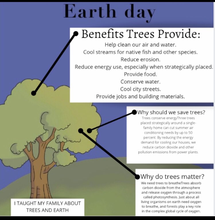 Deele College Pa Twitter As Today Is Earth Day 2020 Mr Quinn S 1st Year Science Class Celebrated This By Practicing Being Creative And Investigative To Discover How Important Trees Are To Them