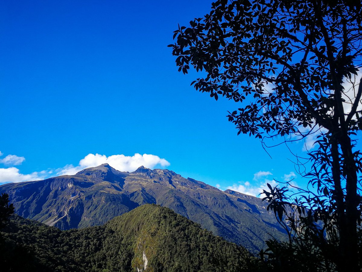 Sandy_ef's tweet photo. #DíaDeLaTierra
Al conectarnos con la Madre Tierra, vamos encontrando espacios de paz, tranquilidad, vitalidad… así vamos fluyendo, creciendo y encontrando el equilibrio.

¡Feliz Día Pachamama! https://t.co/p3TQIKDMAc