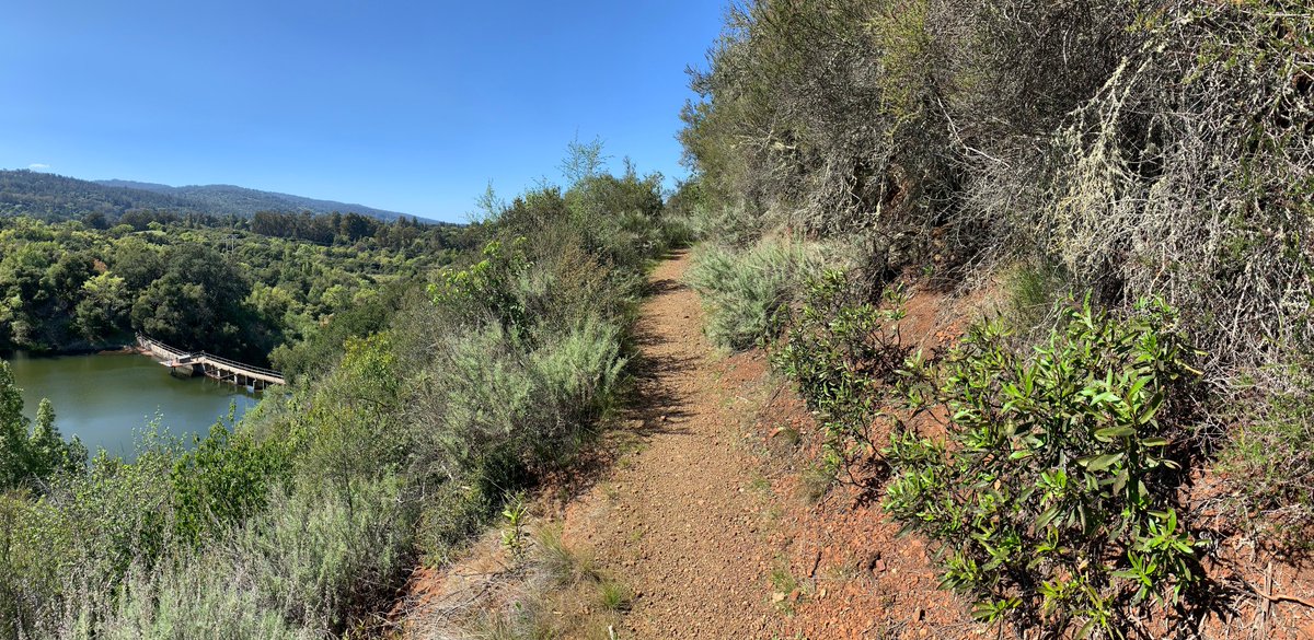 JorgeRH2O's tweet photo. On this #EarthDay I am working with #K12 & #highered educators build #education & #outreach virtual #ecology content from my laptop using materials from Jasper Ridge @stanfordjrbp ! #exclosures #herbivory #plantadaptations #EarthDay50 #EarthDayAtHome #EarthDay2020 https://t.co/dT9VxrVVEh