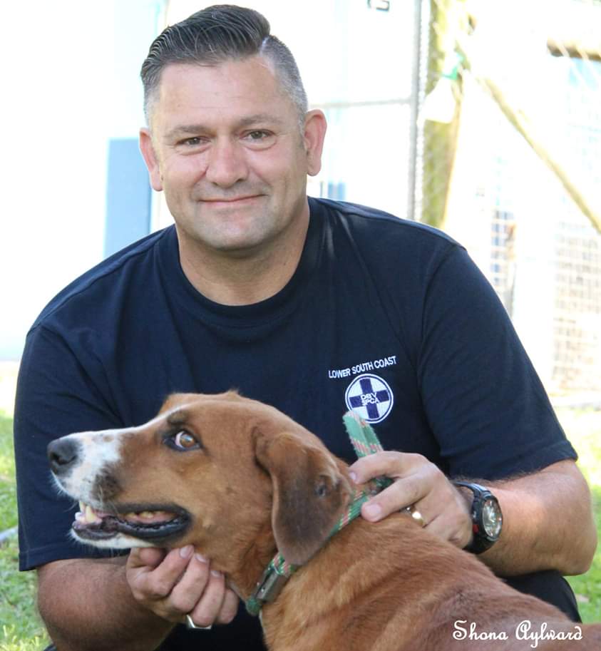 SPCA LOWER SOUTH COAST tweet media