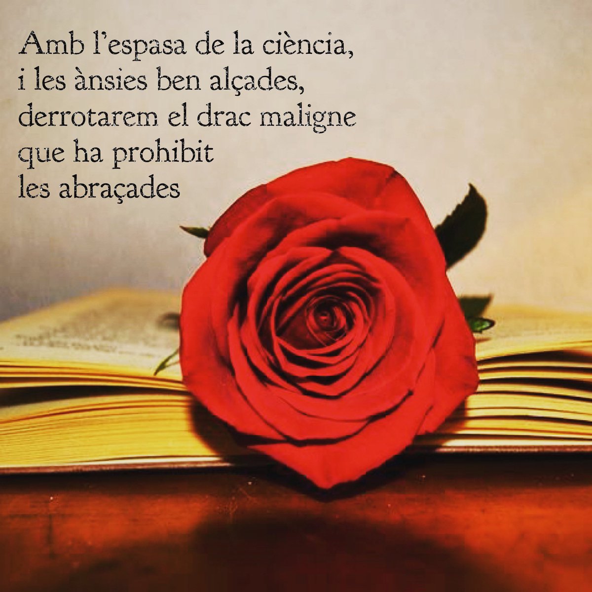 BellLlocdelPla's tweet photo. Bell-lloc us desitja una Bona Diada de Sant Jordi https://t.co/qBoLHc8qrv