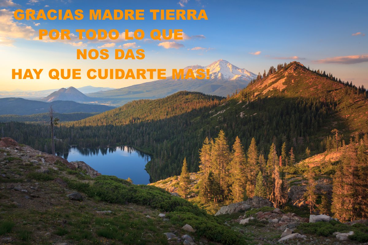 Tu Visión Canal tweet media