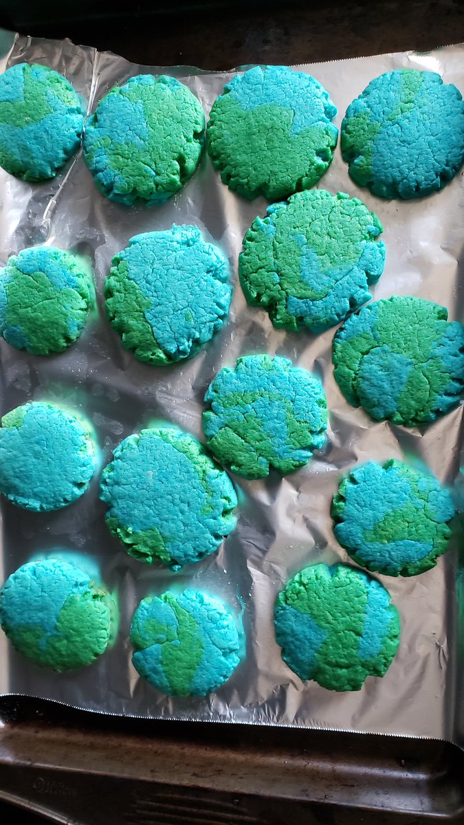 StephMM3's tweet photo. @RBestnest @BantingBestCBE KEALY AND CHELSEA MADE COOKIES FOR EARTH DAY!!!!!! https://t.co/crxkPbIQpW