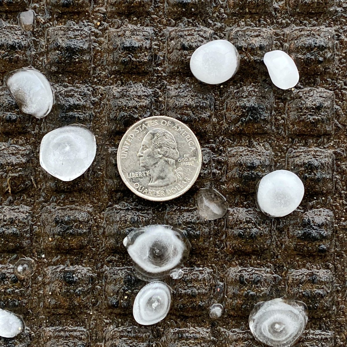 BCSshots's tweet photo. @KBTXShel Hail just now at RELLIS Campus. https://t.co/1o5X6faZBz