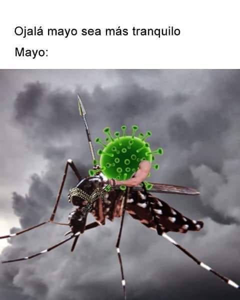 Súmale la no entrega de PAÑALES a los compañeros,los 700 pesos de médico a domicilio,las rebajas salariales que arregla el gitano  y no me olvido de los TRAIDORES 
CAVALIERI sos PANDEMIA