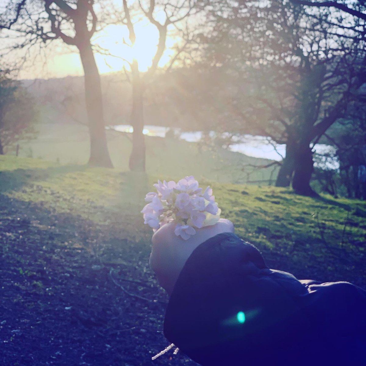 v10let_1's tweet photo. Favourite shots from the evening walk. #EarthDay #RibbleValley #RiverRibble #WestBradford #sunset #lockdown #SpringTime 🌿🌾🍃🌼🌳 https://t.co/d5GFRbhwjh