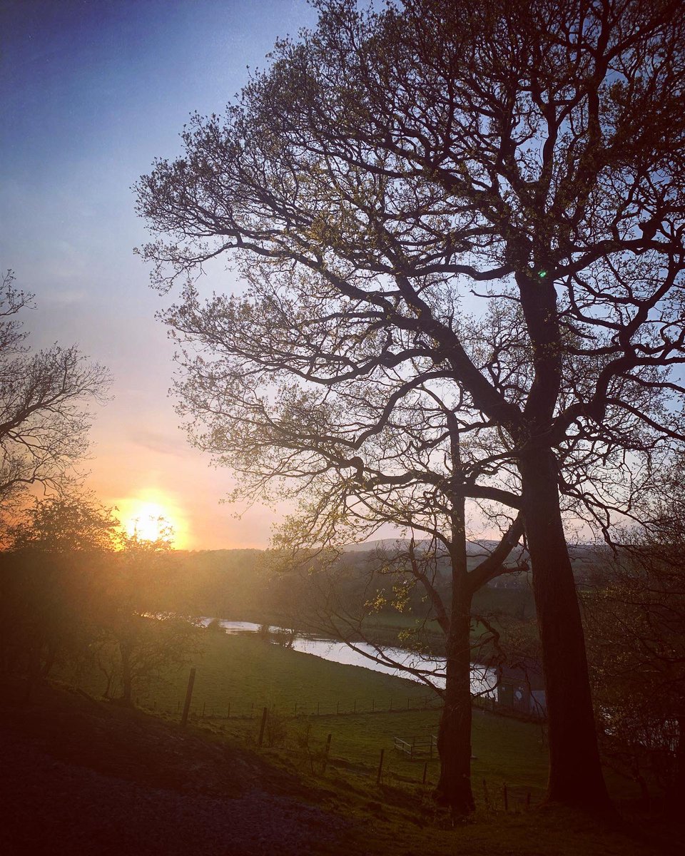 v10let_1's tweet photo. Favourite shots from the evening walk. #EarthDay #RibbleValley #RiverRibble #WestBradford #sunset #lockdown #SpringTime 🌿🌾🍃🌼🌳 https://t.co/d5GFRbhwjh