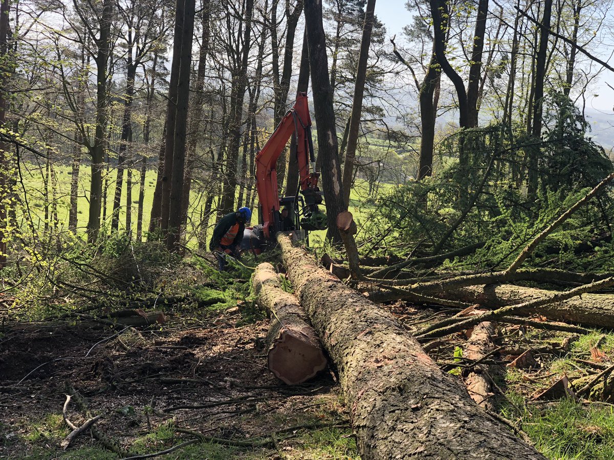 jaymilson's tweet image. Some more iPhone juice timber felled and extracted today in this glorious weather