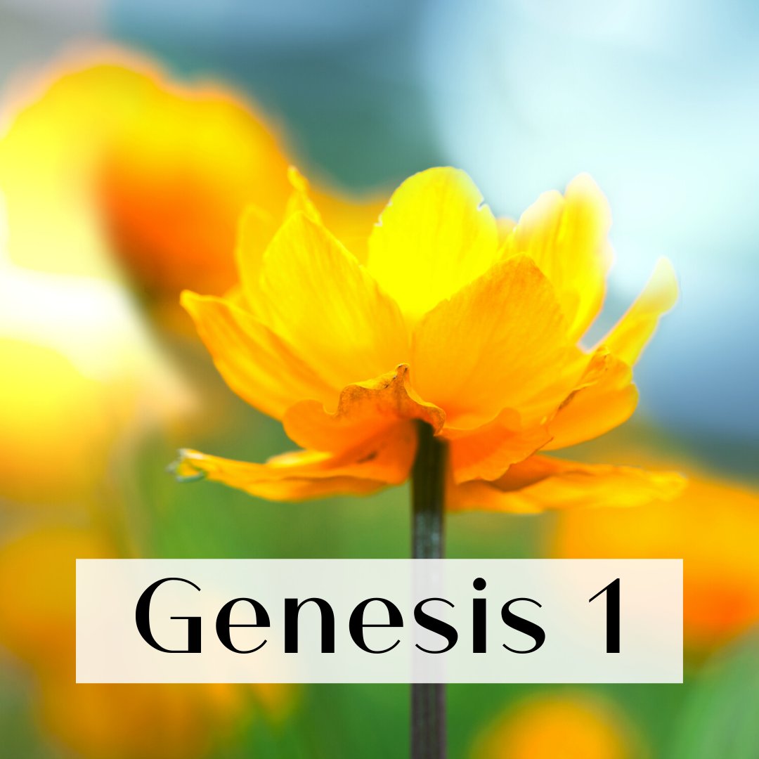 PointUniv's tweet photo. In light of #EarthDay, this week's #ScriptureFocus is the first chapter of Genesis. We are reminded that God created the world, and it was good. God also calls Adam and Eve (and now humanity) to be stewards of creation. What can you do to be a good steward? https://t.co/a3WghVtoPY
