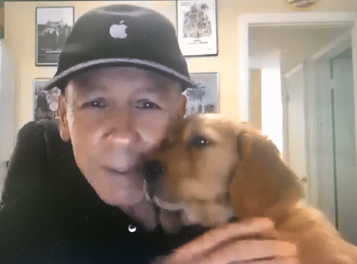 schadjoe's tweet photo. The new puppy of our @gunnerhal made her debut during this @pbpsports #pbpostlive NFL Draft @MiamiDolphins Show @pbpost https://t.co/3gh0ruXMB5 https://t.co/Eoe5sjBvyb