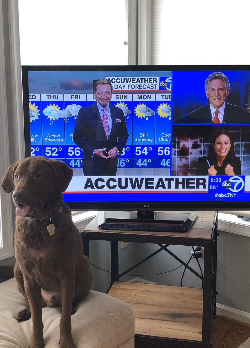 Cambymon's tweet photo. @LizCho7 back you to in the studio Liz https://t.co/tpG0Id5sZH