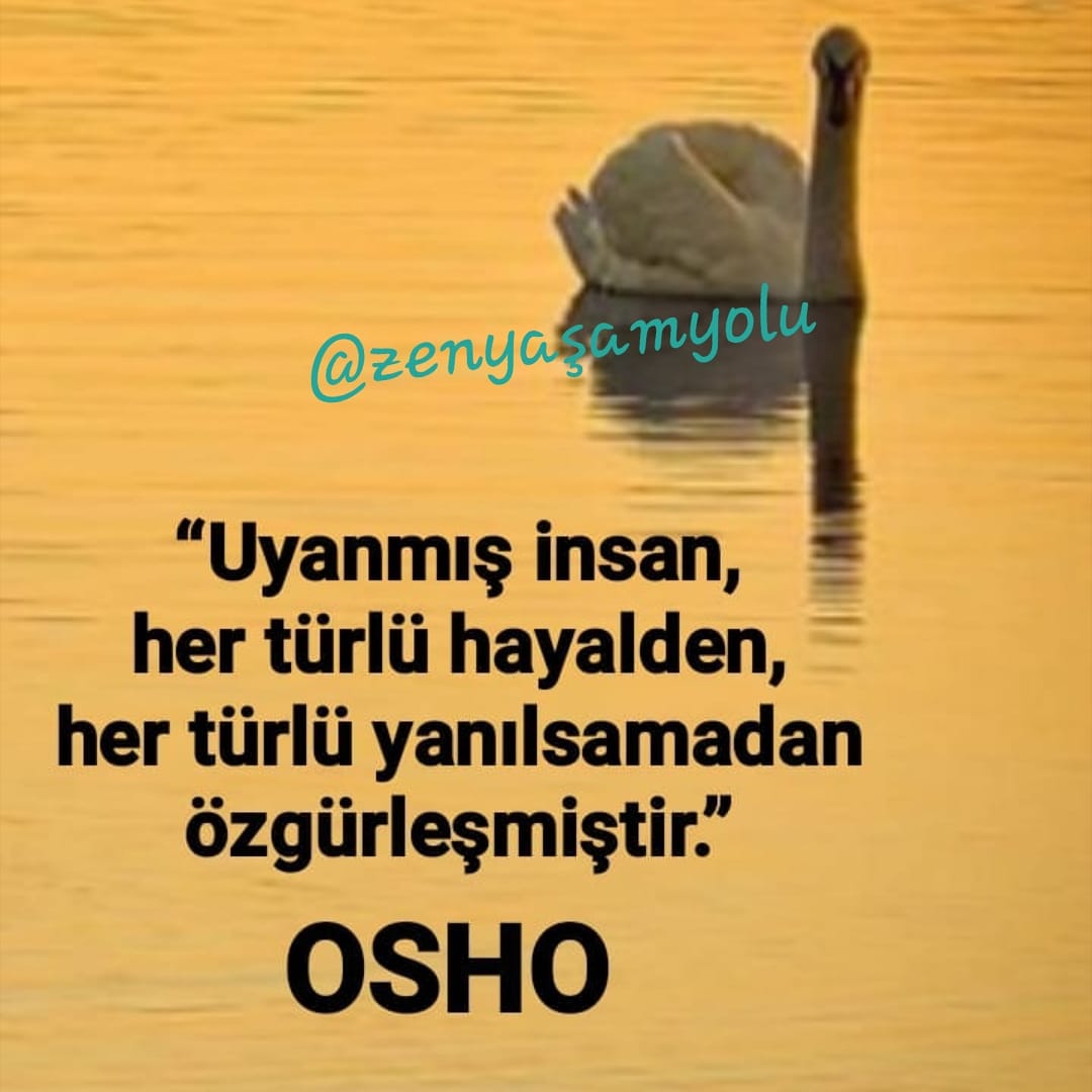 #şifa #ibnisina #rehberlik #pozitifenerji #farkındalık #bioenerji #bilinçaltı #hipnoz #life #healingsystem #possitivemind #kuantum #spirituel #kişiselgelişim #sağlık #huzur #uyanış #hypeness  #olumludüşünce #telkin #sufi #numeroloji #şamanizm #motivasyon #çakra