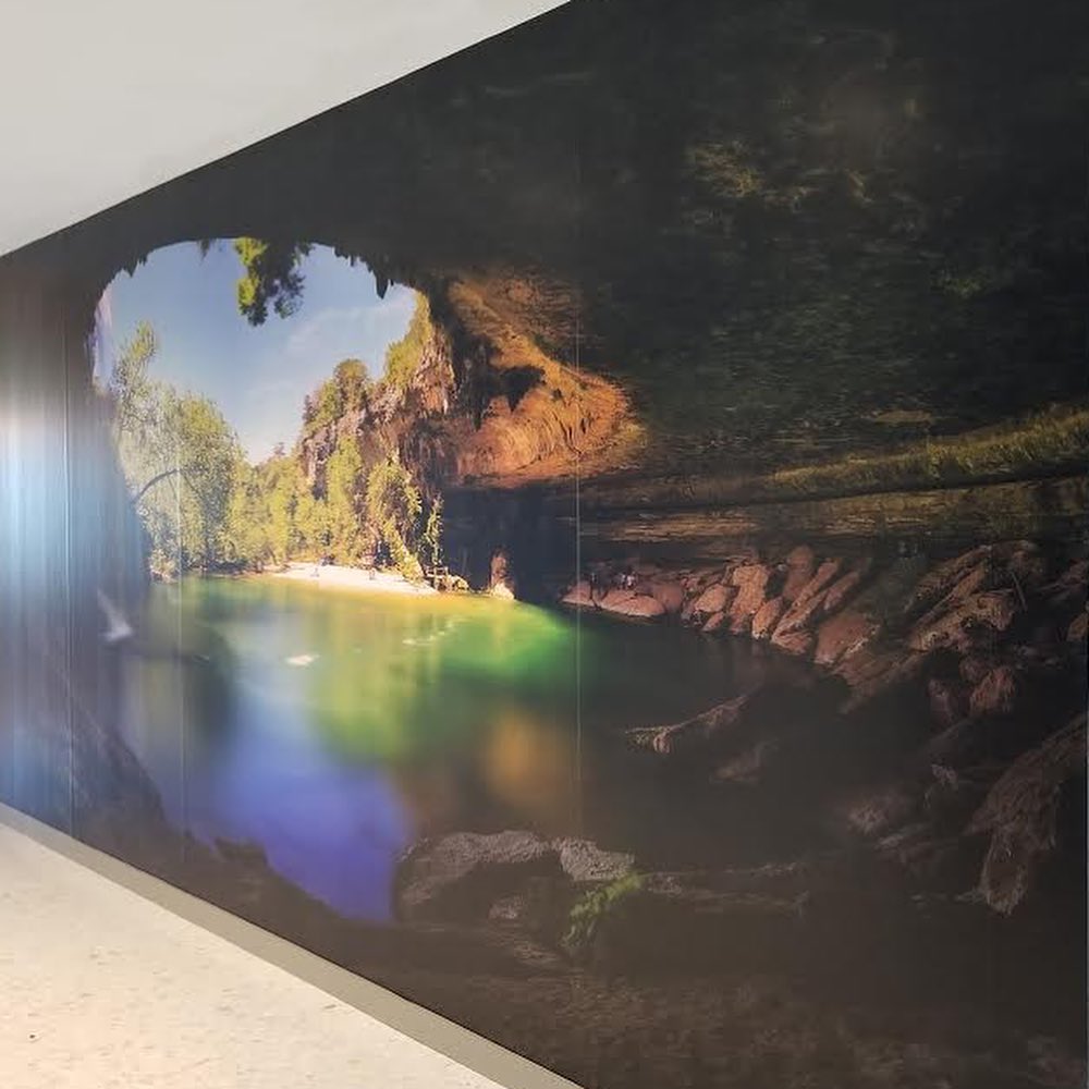 Happy Earth Day friends! We hope you are enjoying the beautiful weather. We’re inside (for now 😎) reminiscing on this beautiful wall graphic done for a project in Austin!