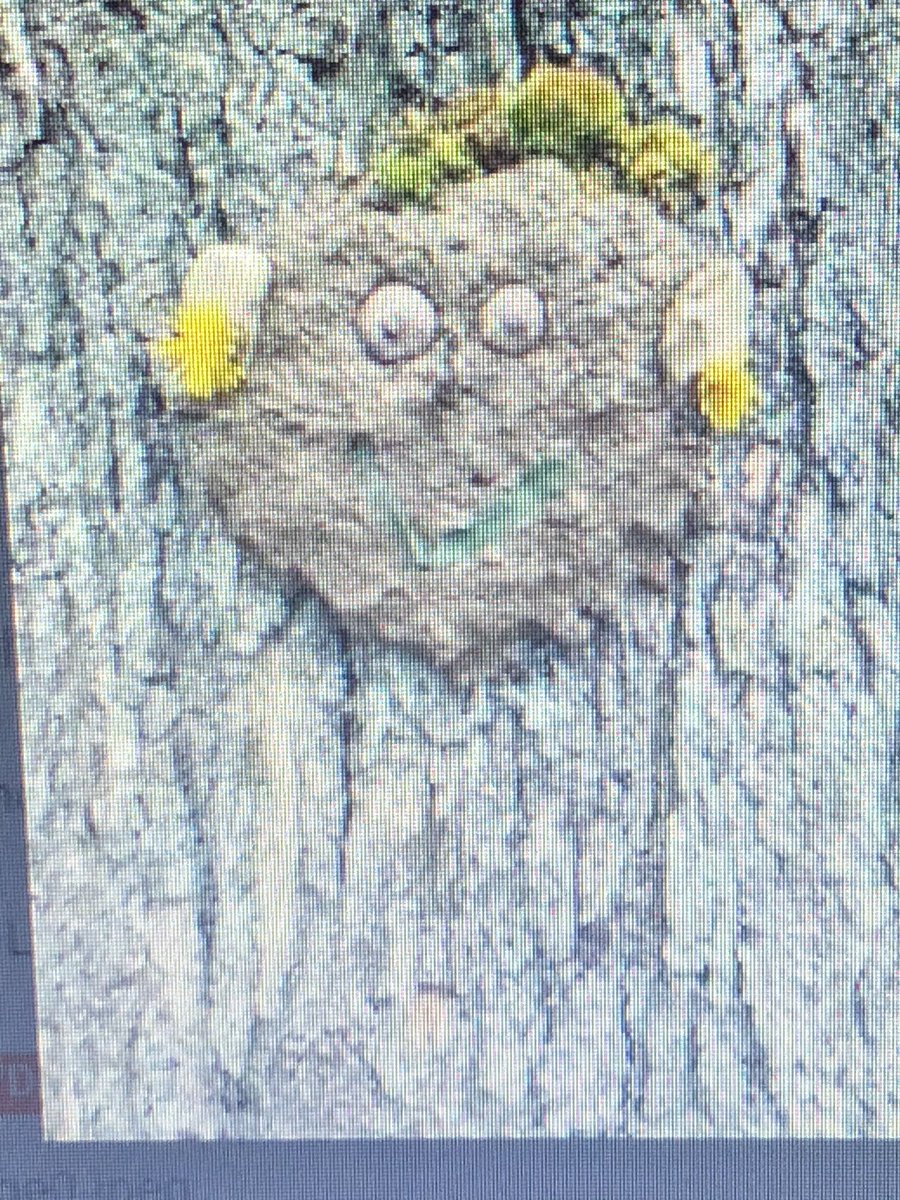 lindanutter18's tweet photo. Big thanks to Bailey, Josh, and Calvin who did my FAMILY activity for today called Faces For Trees(courtesy of Tindergarten). What if trees had faces? They helped their kids unpack that question while they made mud pies. https://t.co/zyAXY2g8gW
