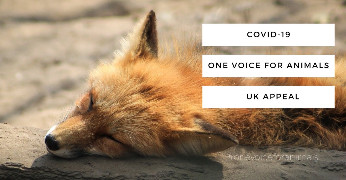 Thanks for being animal heroes. Over 200 rescues in distress on #onevoiceforanimals database, more added each day. Appeal to help launches Friday. Please RT <a href="/ollycassie/">Angela Horton</a> &amp; join here: facebook.com/groups/2649468…

<a href="/ChrisGPackham/">Chris Packham</a> <a href="/PaulMcCartney/">Paul McCartney</a> <a href="/StellaMcCartney/">Stella McCartney</a>  <a href="/DrBrianMay/">Dr. Brian May</a> <a href="/rickygervais/">Ricky Gervais</a>