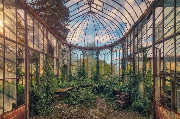 Choose one: greenhouse