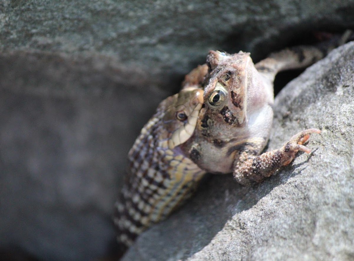 chealey97's tweet image. Probably the maddest photo I’ve ever taken #EarthDay