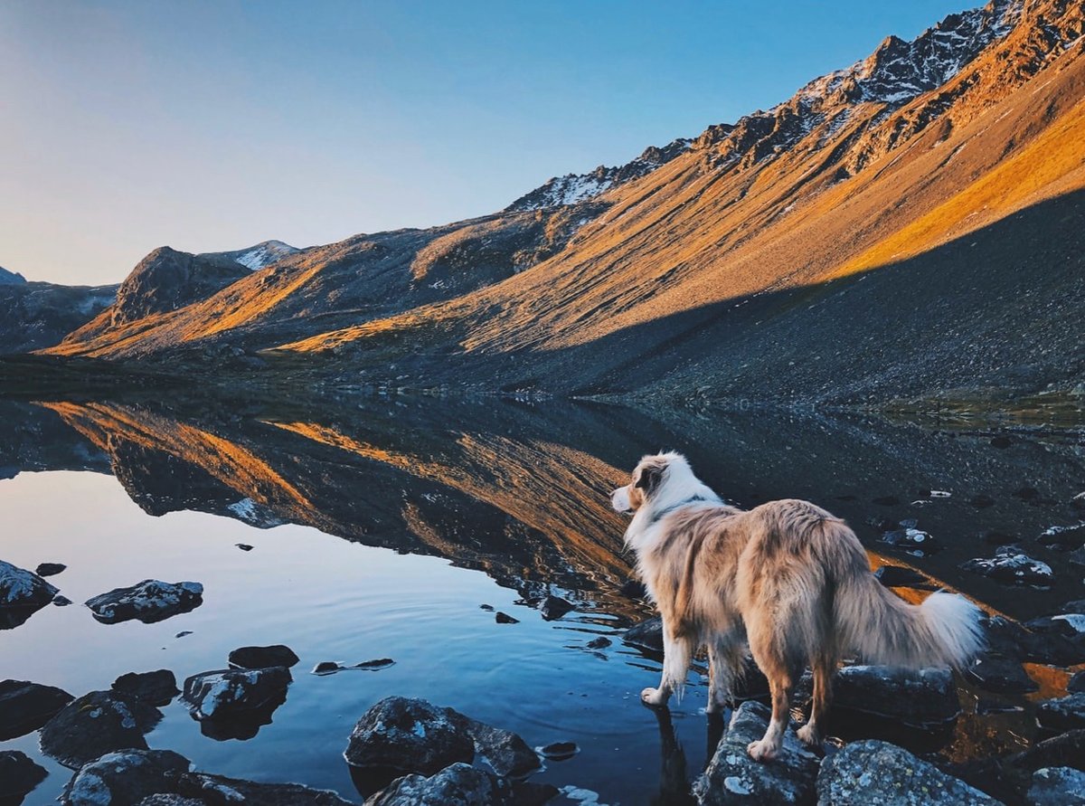 furzly's tweet photo. Happy Earth Day! 🌍 🌎 🌏 We love nature and all animals!

#earthday #animals #nature https://t.co/mRYCicO3gi