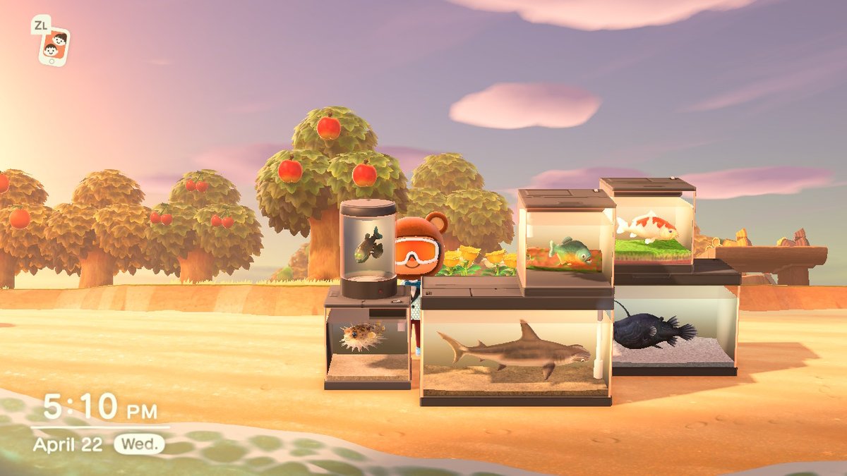 notShigeharu's tweet photo. Daniel asked me to pose with the all the fish that like to watch the ocean. https://t.co/Qkvml3Seic