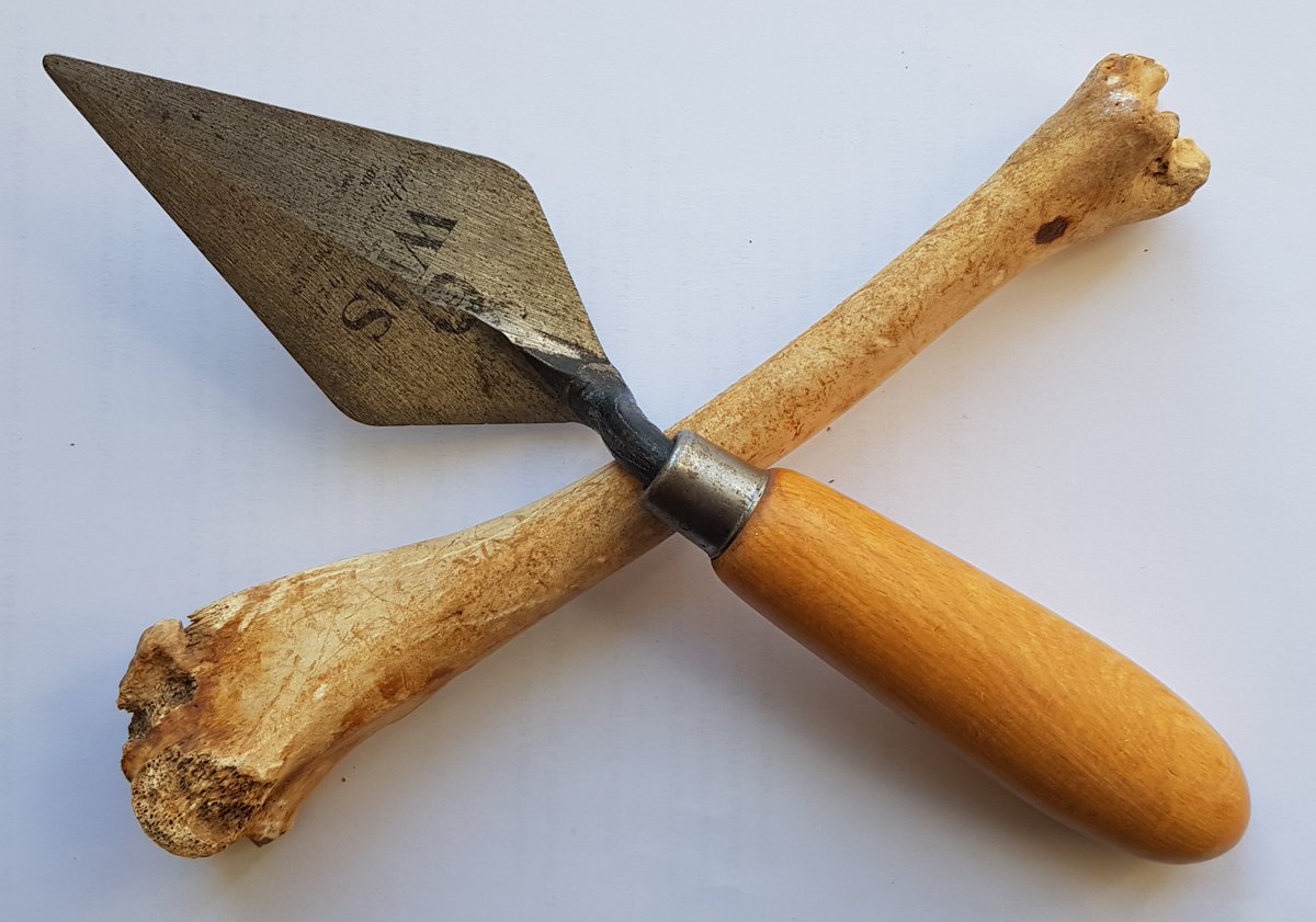 CarenzaLewis's tweet photo. Launching tomorrow - my #lockdown project! Please retweet! #archaeologyFromSchools #homeschooling #twitterhistorians #archaeology #TeachingHistory #covid @archaeologyuk @HistoricEngland @histassoc @1972SHP @thetimeteam @UniLincolnPEARL @BBCRadioLincs https://t.co/uerK3g8GgI