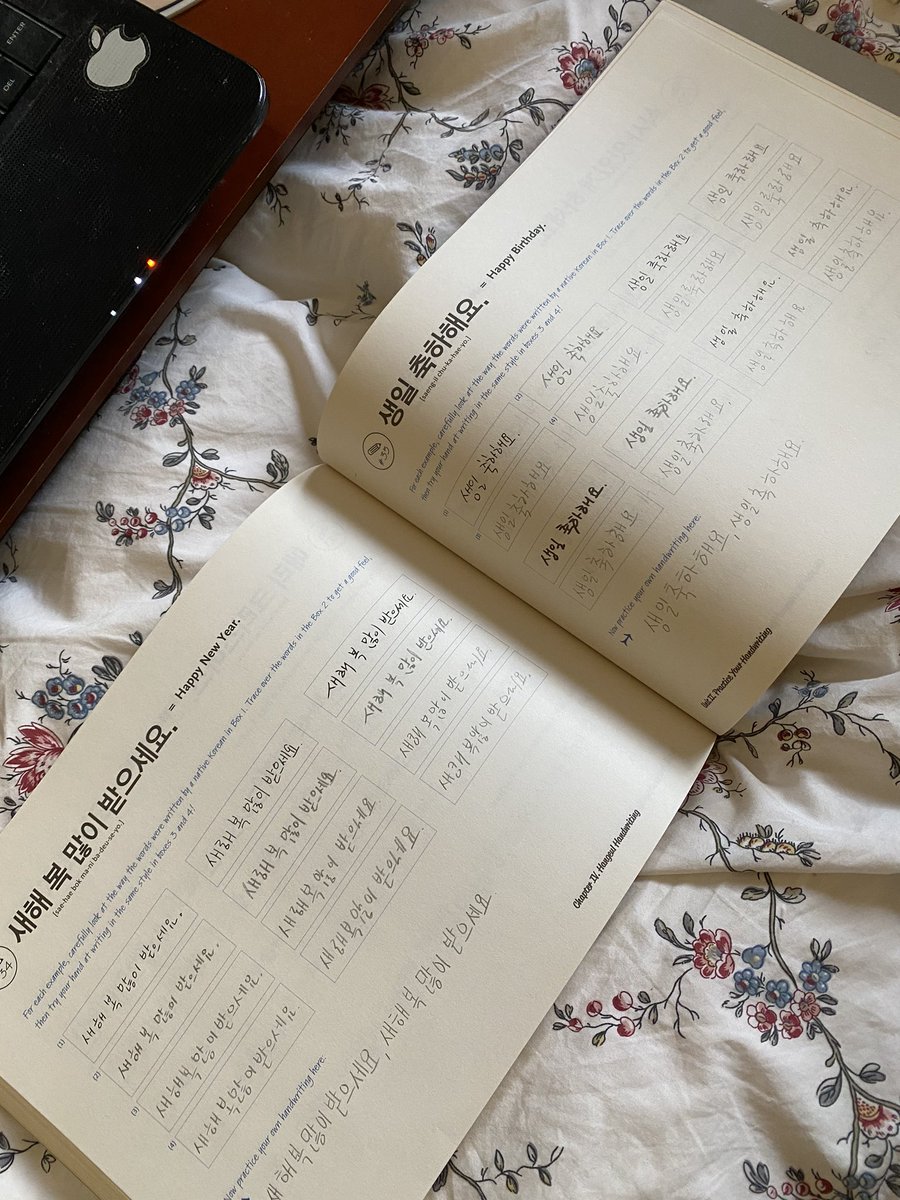 Write on here that’s using romanized letters. This book tells you how to pronounce each sound and gives you tons of writing practice (shout out to baby Jess’ terrible handwriting lol). It has Korean written in multiple fonts so you can lean to differentiate writing styles too