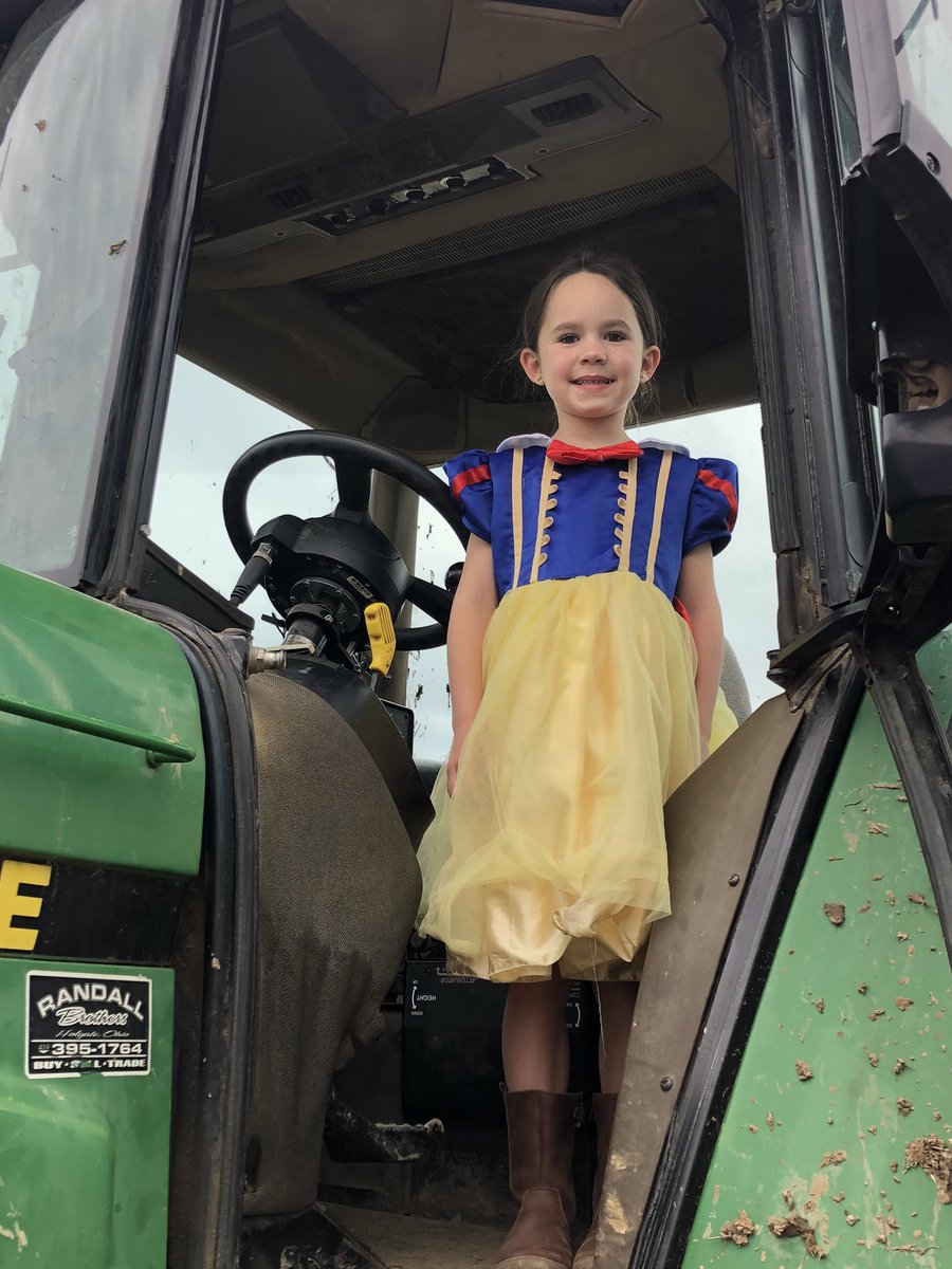 FarmerTomGraham's tweet photo. Snow White helped me haul pig poo today!! https://t.co/GI3KvZhJMJ