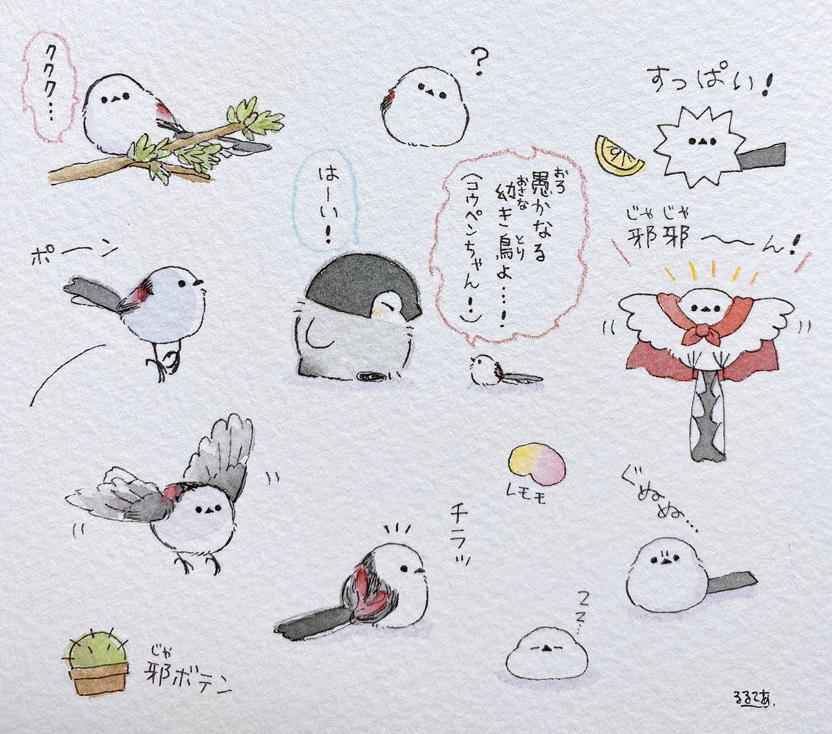 るるてあ 邪 よこシマ エナガさん るるてあ 邪 よこシマ エナガさん