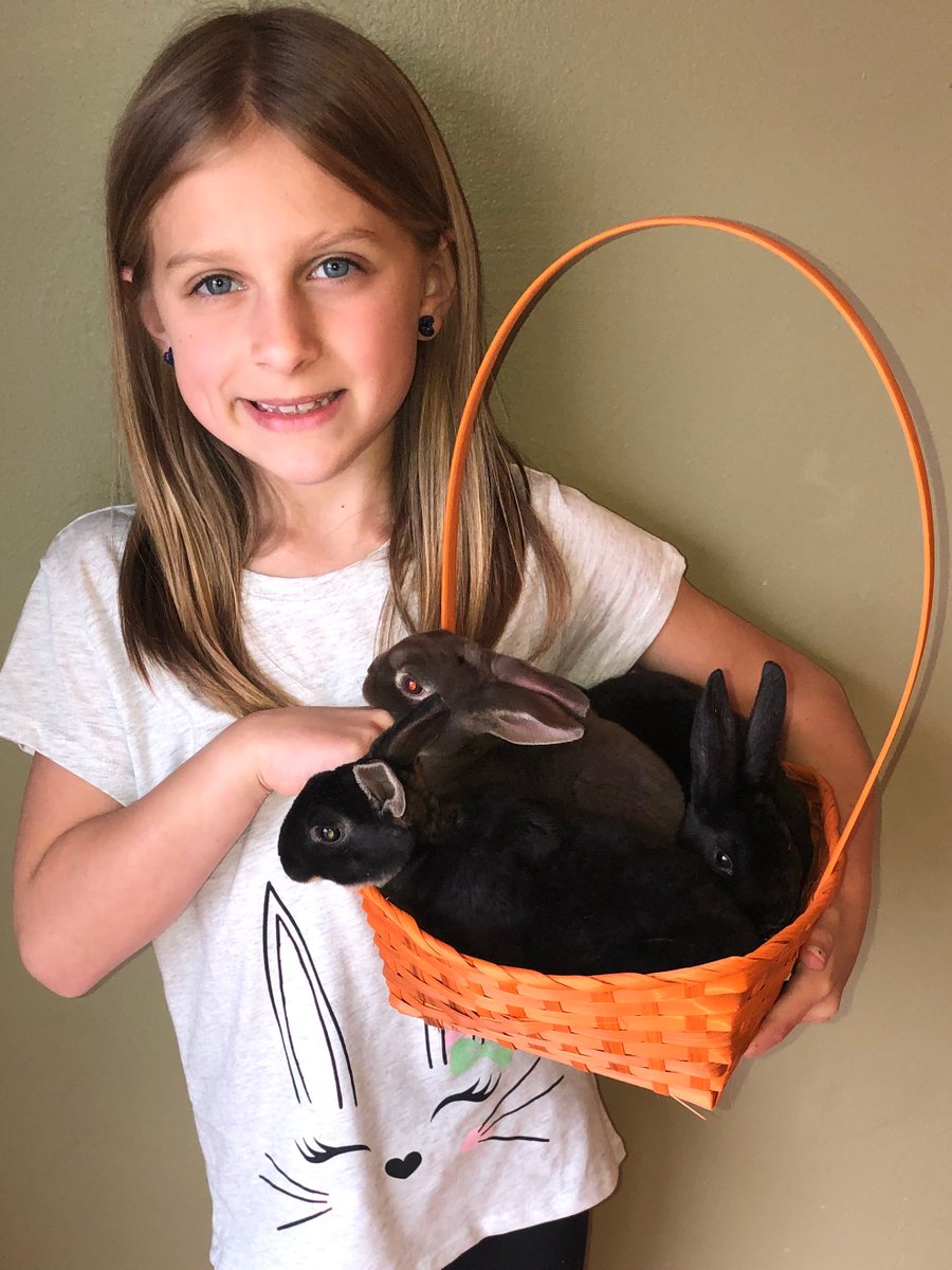 BAECCounselor's tweet photo. How sweet it is to have a basket full of bunnies! #basketofbunnies @BAECinAction https://t.co/QMxevixCia