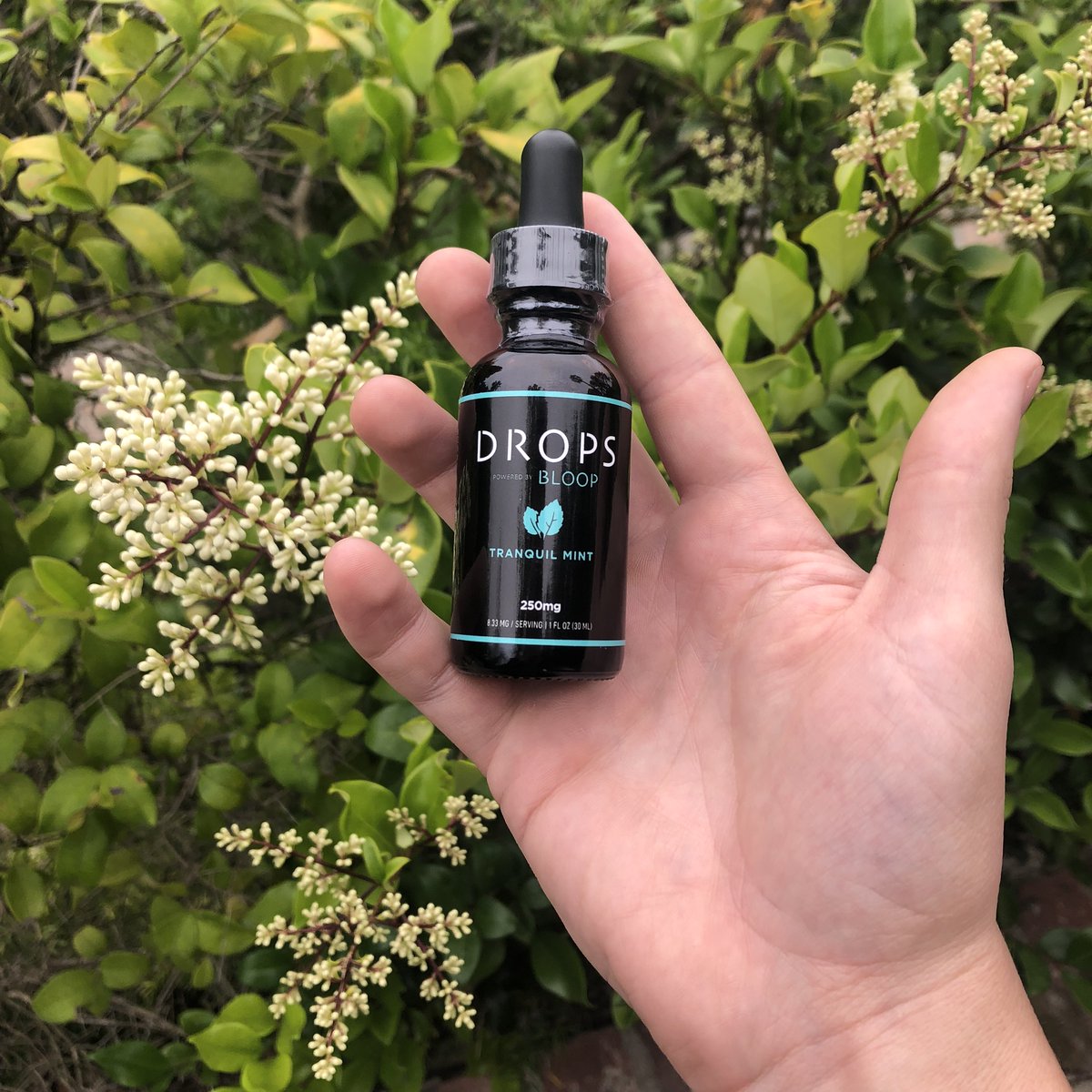 MINGOCBD's tweet photo. It is not a drug.

It is a flower
_____________________________________________
 RETWEET our post to enter yourself into our weekly give-a-way!   Choosing 1 winner every Sunday at 12am PST.   https://t.co/anLmV4MaPc  #CBD #CBDGiveaway https://t.co/uriR9AHGpA