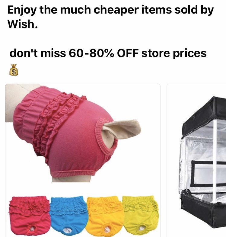 Marcelle Tattersall tweet media