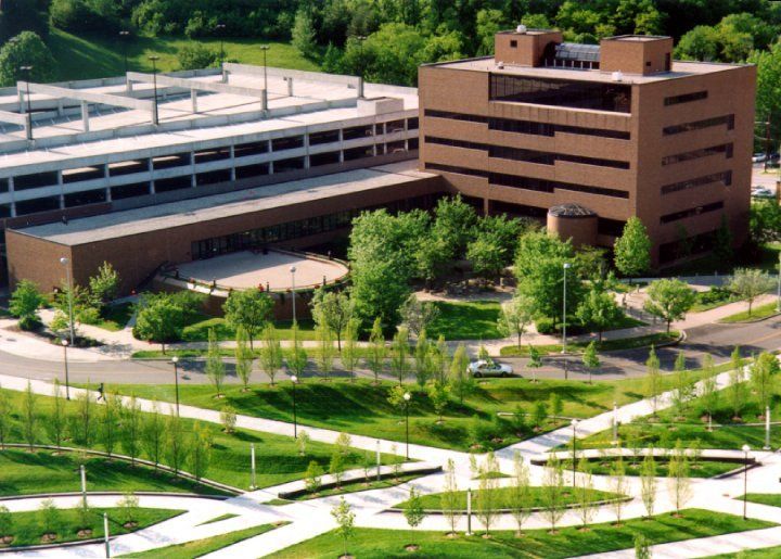 As the semester is coming to an end, we would like to say that it has been an honor serving Arts &amp; Science students. We hope that all of our little tips and tricks take you far into your academic and professional career. Stay safe and be your Bearcat best!